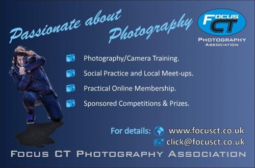 Welcome to Focus CT Photography Association website!
